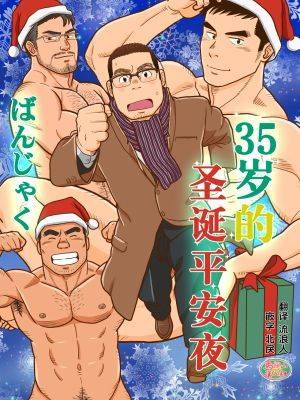 35岁的圣诞平安夜,35岁的圣诞平安夜漫画